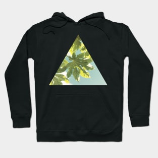 Fig Leaves Hoodie